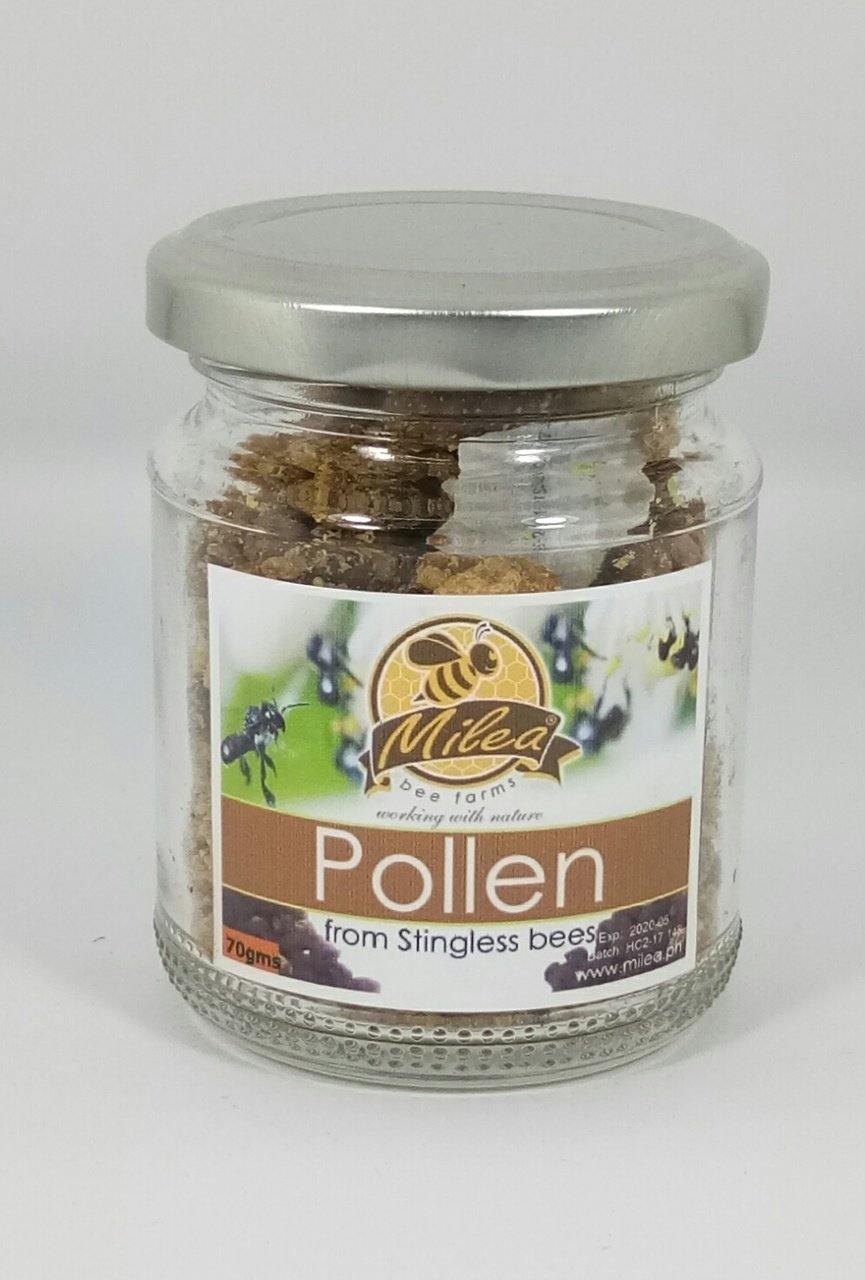 Rare, Medicinal Pollen from Stingless Bees - Milea All Organics - Philippines